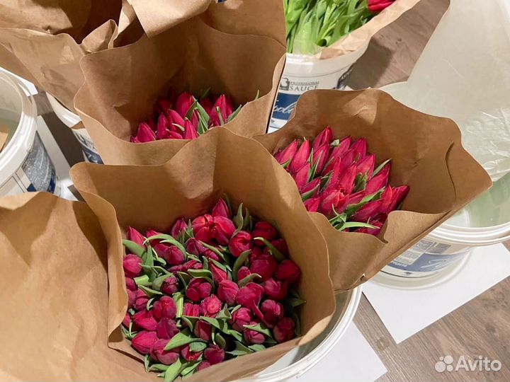 Розовые тюльпаны