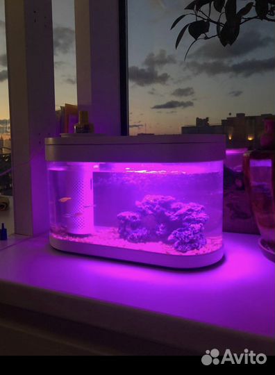 Аква-ферма Xiaomi geometry fish tank