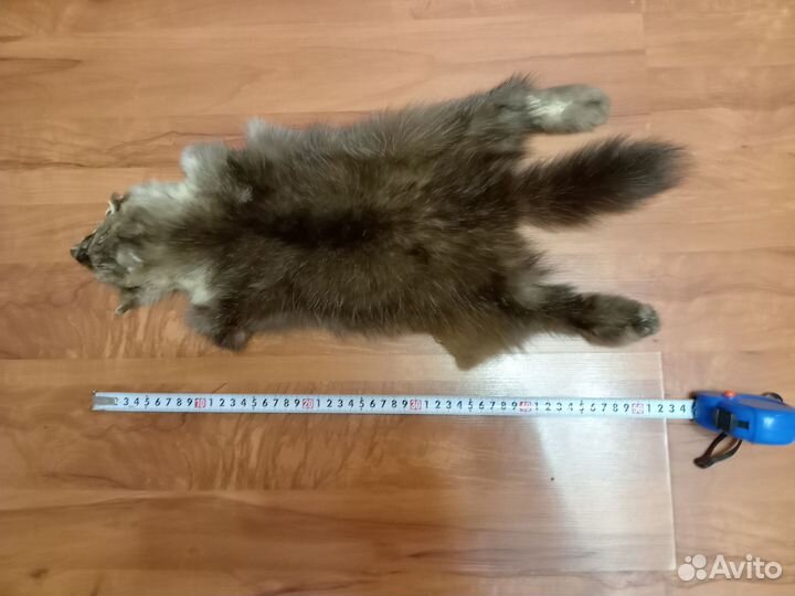 Шкурка соболя, отличная выделка