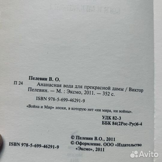 Ананасная вода для прекрасной дамы, Пелевин