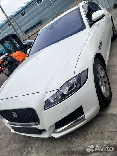 Jaguar XF разбор 2016г
