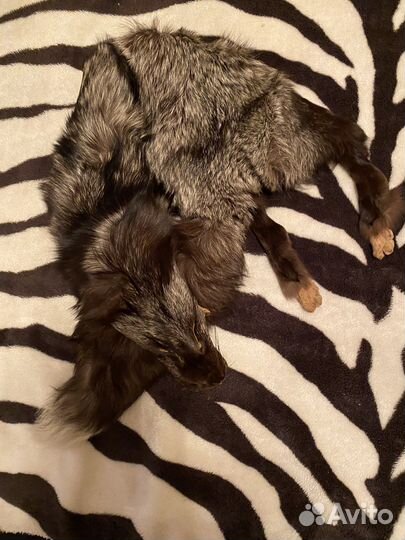 Чернобурка