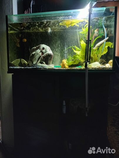 Аквариум с тумбой 100л