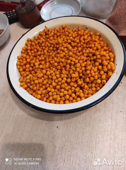 Облепиха ягоды