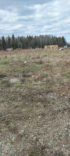 Участок 12,5 сот. (ИЖС)