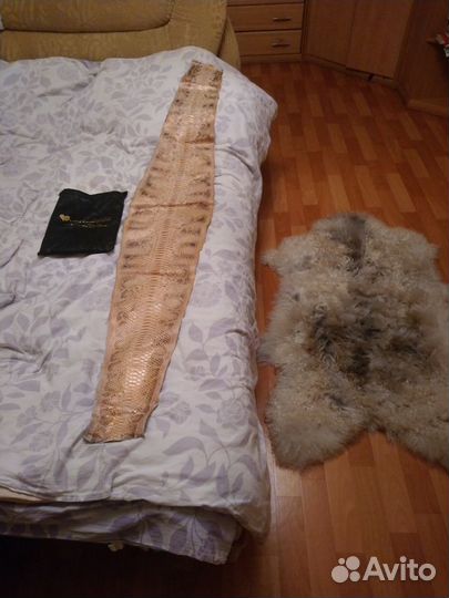 Кожа питона