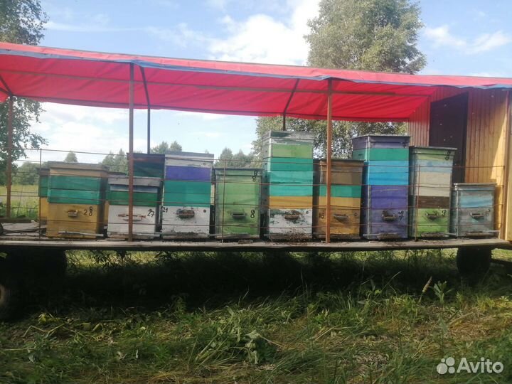 Телега для пчёл