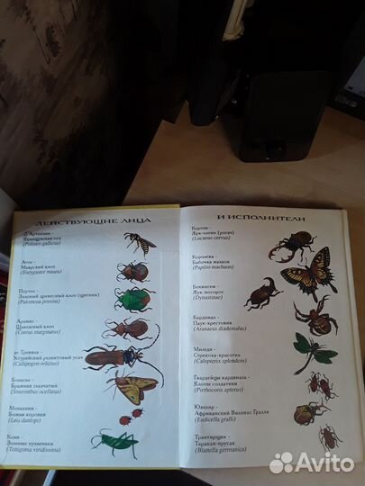 Три мушкетера. Роман Дюма для детей