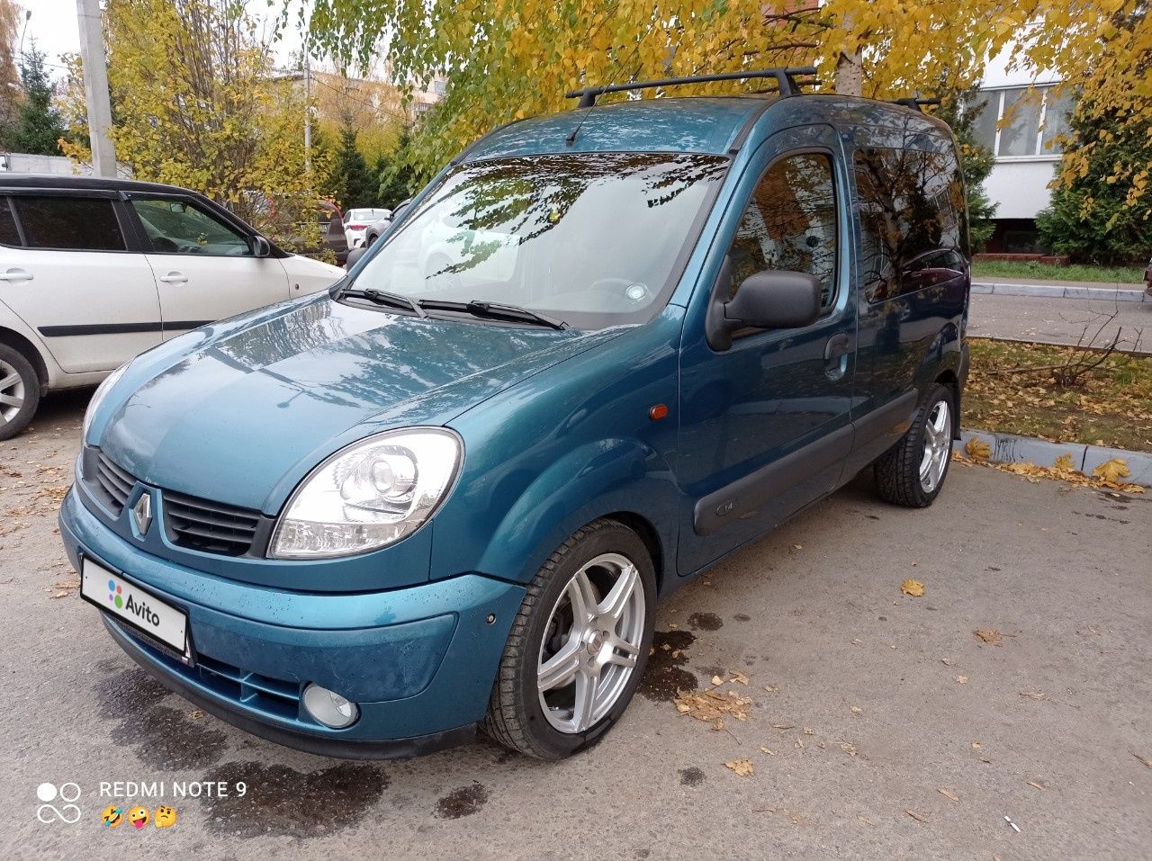 Renault Kangoo: фото владельца