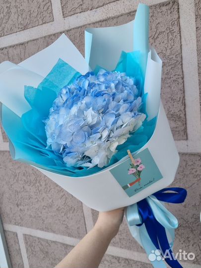 Гортензия в стильной упаковке