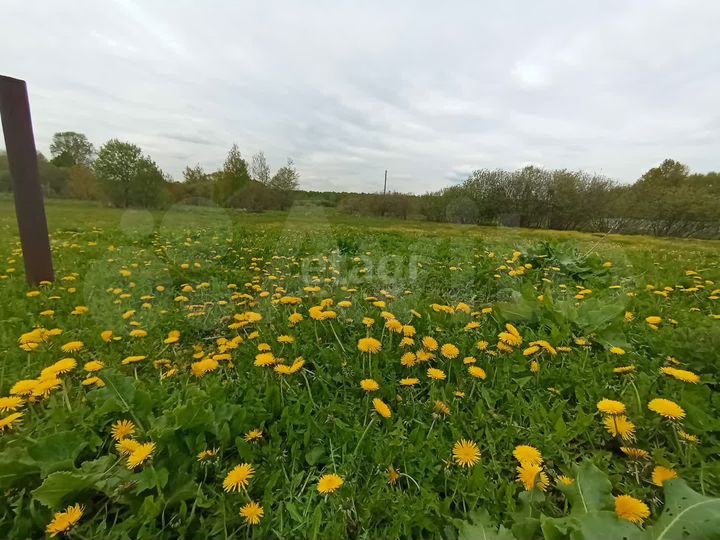 Участок 10 сот. (личное подсобное хозяйство (лпх))