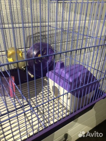 Клетка для хомяка с аксессуарами