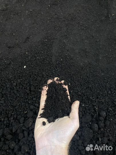 Чернозем