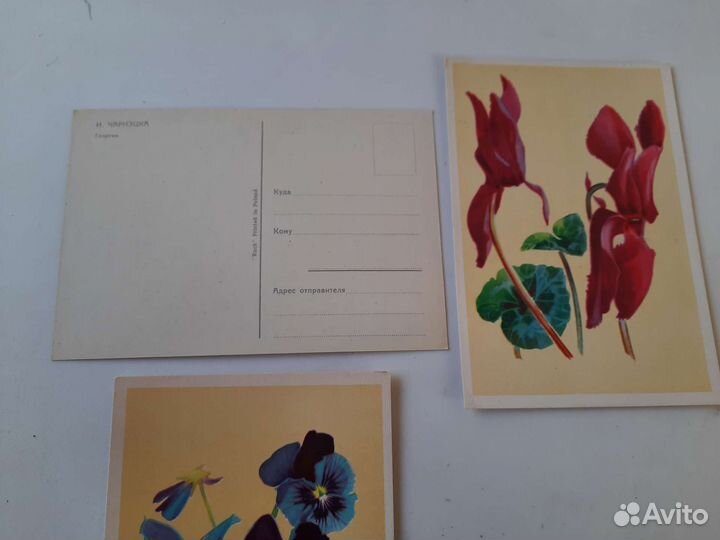 Открытки. Цветы. И. Чарнэцка. 1950-ые гг. Чистые