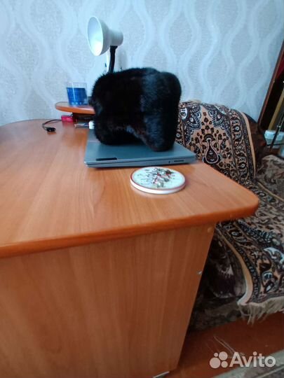 Шапка норковая