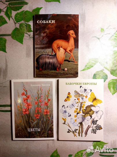 Редкие открытки