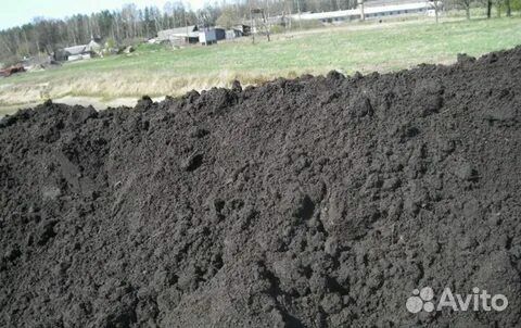 Чернозем плодородная земля