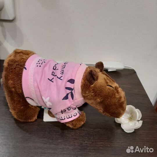 Хит продаж мягкая игрушка капибара