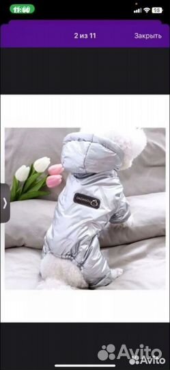 Одежда для маленьких собак зимняя