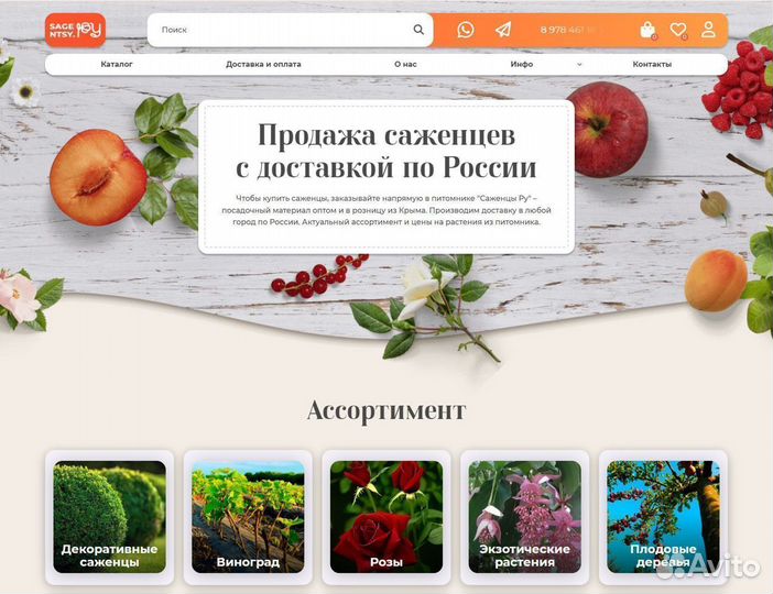 Интернет магазин по продаже растений