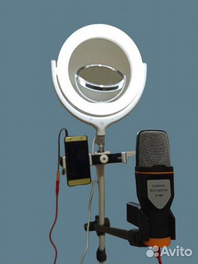 Кольцевая (лампа + микрофон + зеркало + штатив)