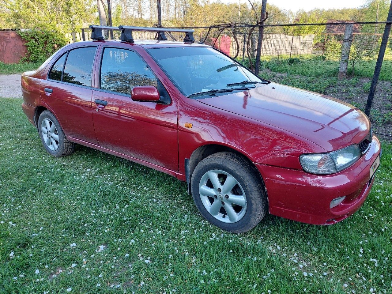 Nissan Almera: фото владельца
