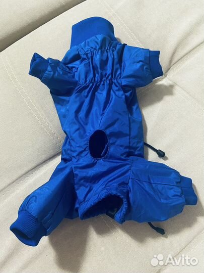 Одежда для собаки, дождевик