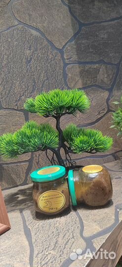 Смесь от язвы, гастрита, язвенного колита и т.д