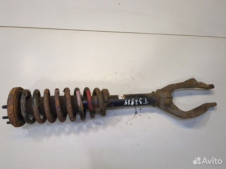 Амортизатор подвески Honda Accord 7, 2004