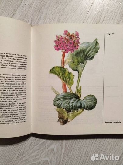 Книги о растениях и садоводстве