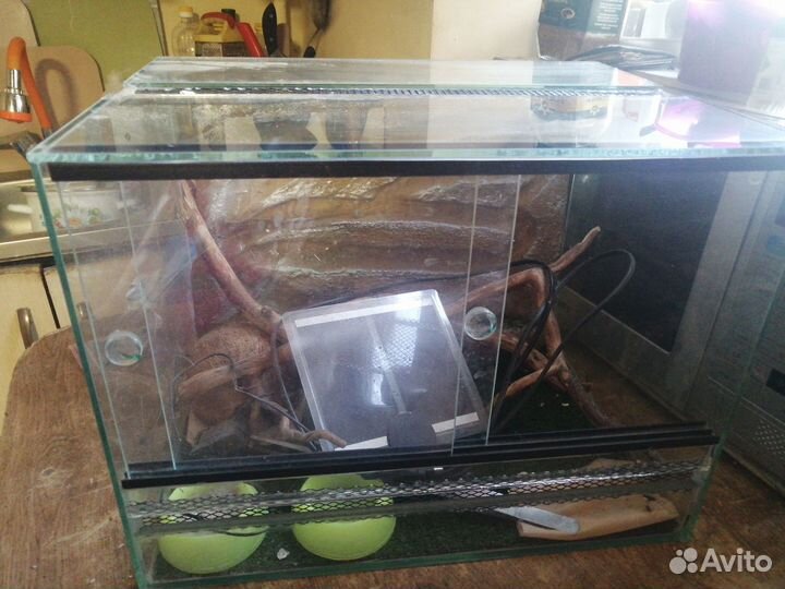 Террариум для эублефара