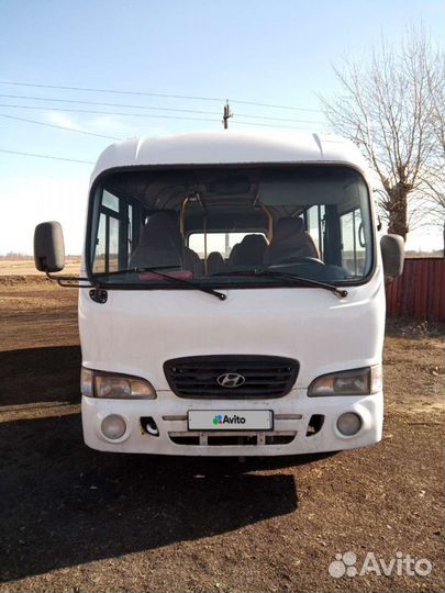 Междугородний / Пригородный автобус Hyundai County, 2011