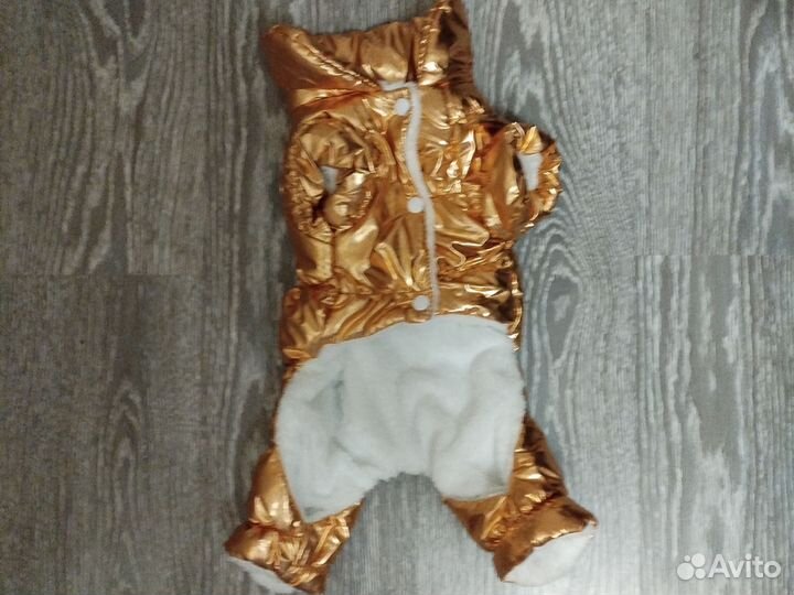 Куртки для маленькой собаки