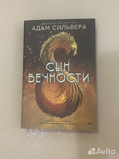 Сын вечности книга