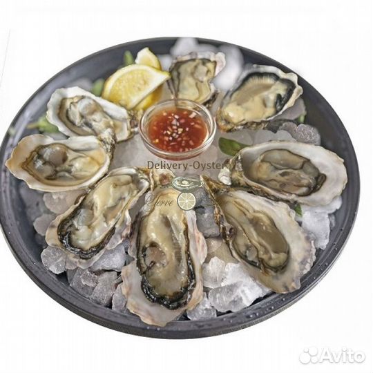 Живые морские деликатесы