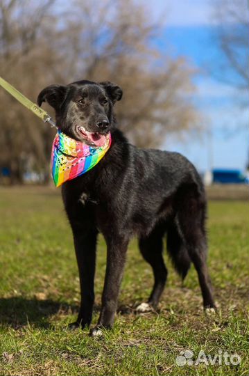 Милая Берта