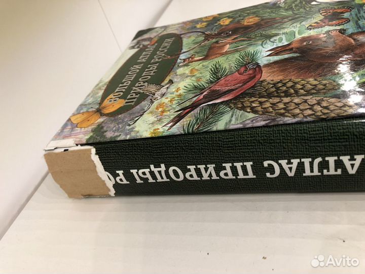 Большой атлас природы России