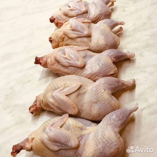 Мясо перепелов