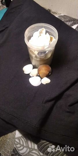 Морские ракушки раковины.Для изготовления подделок