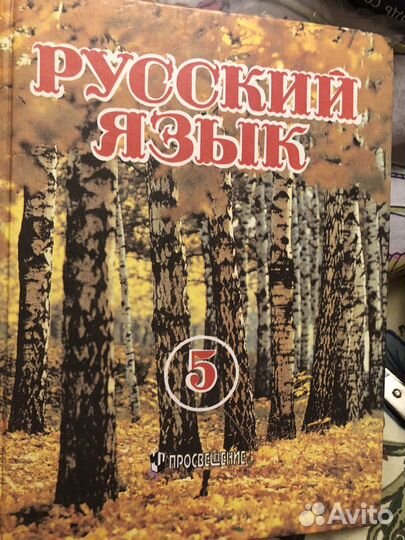 Русский язык 5 класс разумовский