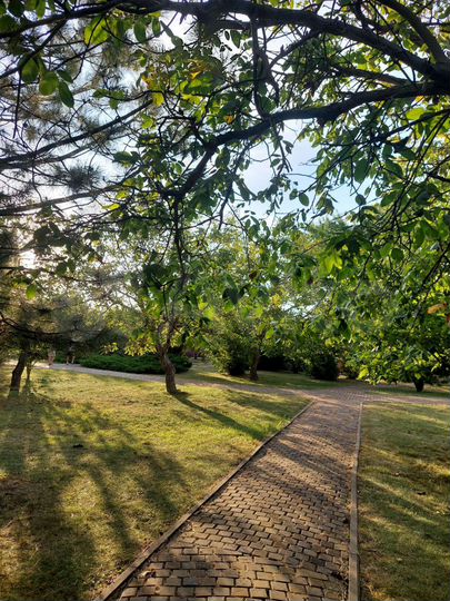 Комната 10 м² в > 9-к., 1/3 эт.