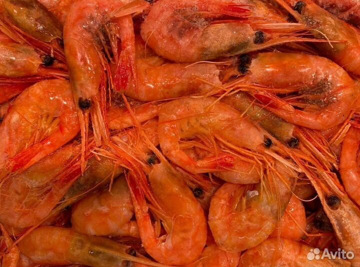 Креветка северная. Свежезамороженные