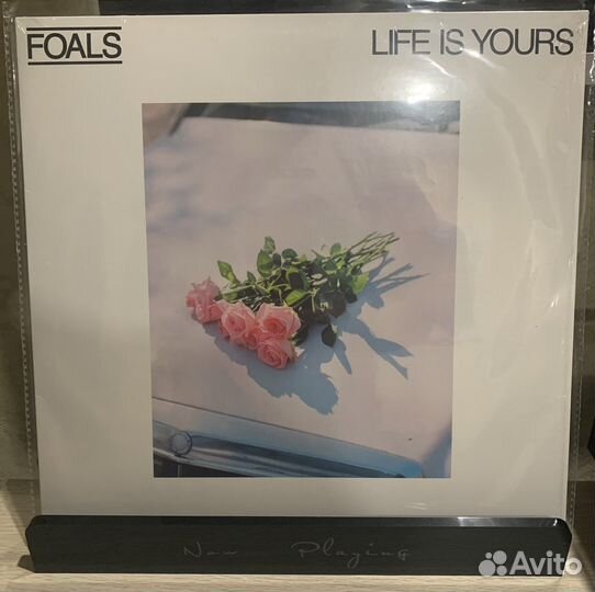 Винил Foals, M83, Roxette