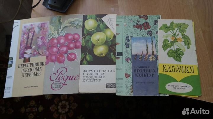 Буклеты брошюры сад огород овощи фрукты садоводств
