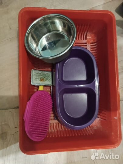 Лоток, миски, расчески для кошек