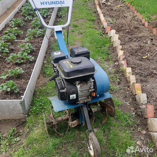 Бензиновый культивавтор Хендай 800