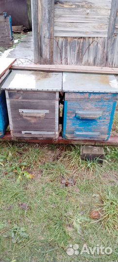 Продам улья