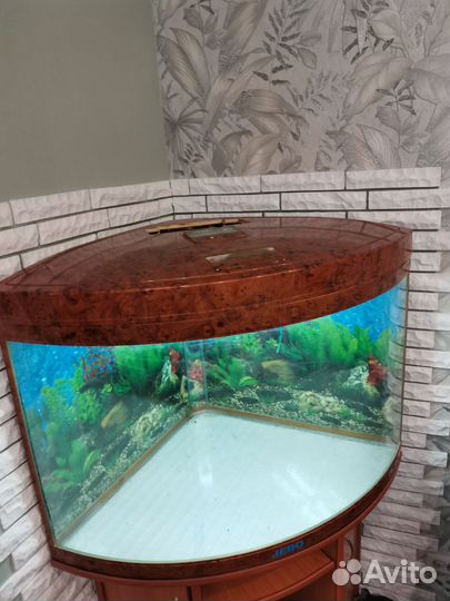 Аквариум с тумбой jebo