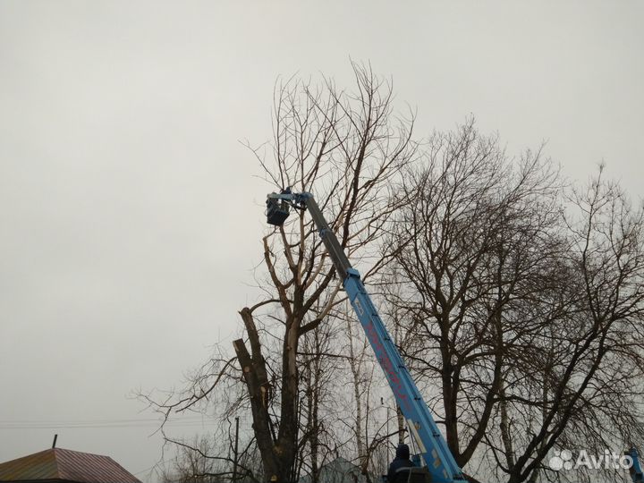 Спил деревьев, расчистка участков