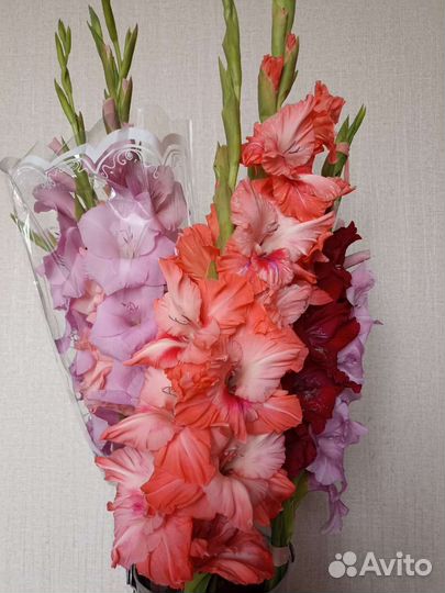 Букет цветов